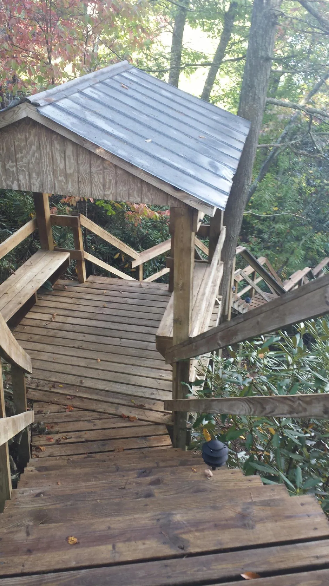 Metal roofed shelter over wooden steps on a wooded walkway — Skylight Repair & Installation work by our crew in West Plains
