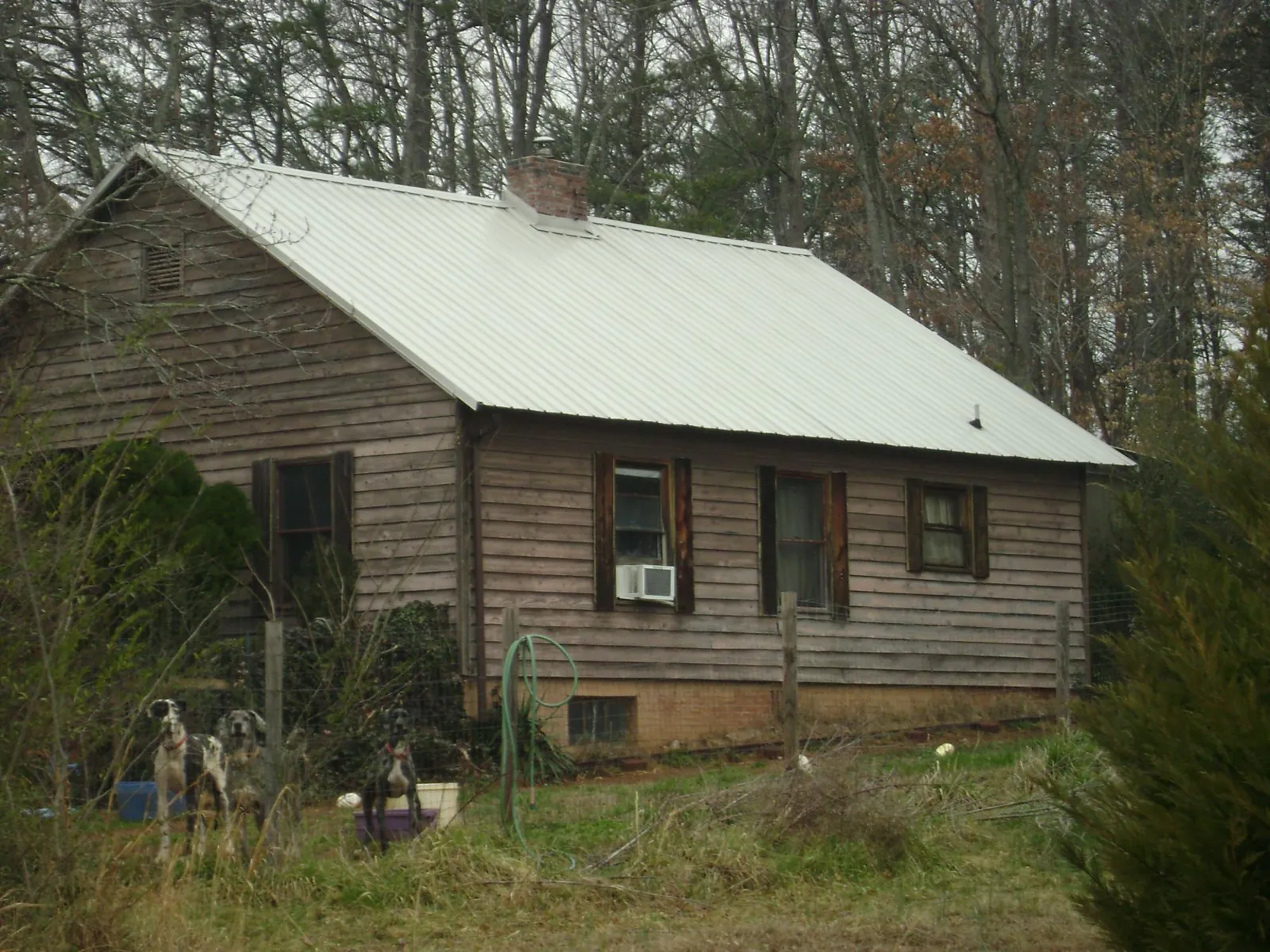 White metal roof on an old wood sided farmhouse, from a Asphalt Shingle Roof Repair job in West Plains